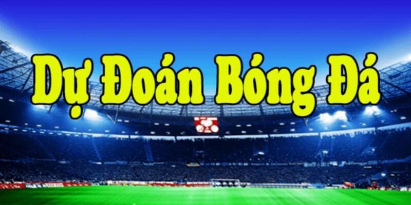 Một số giải đấu đặc biệt tại Bongdalu