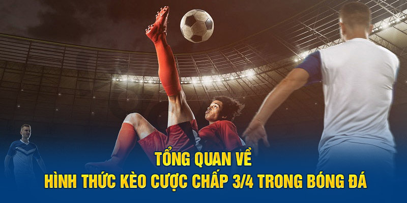 Tổng quan về hình thức kèo cược chấp 3/4 trong bóng đá