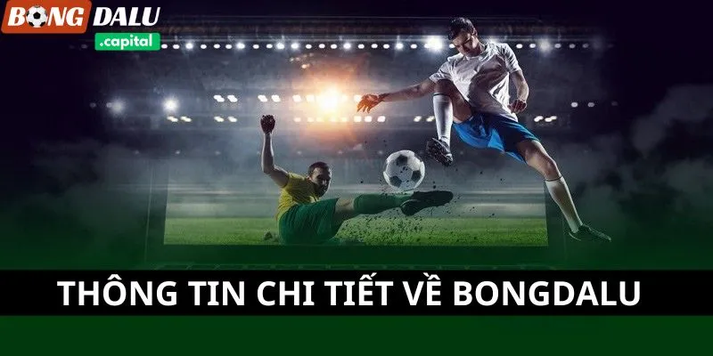 Cập nhật tin tức thể thao tại Bongdalu